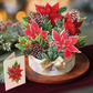 Birch Poinsettia - Pop-Up Flower Bouquet Greeting Card - Mellow Monkey