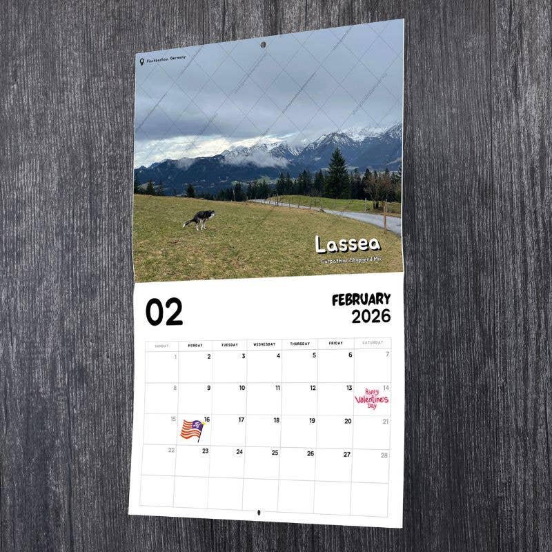 Dogs Pooping in Beautiful Places™ 2026 Calendar - Gag Gift - Mellow Monkey