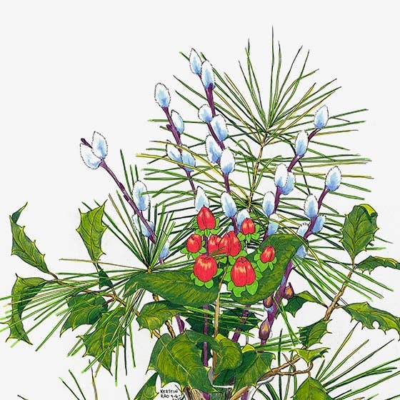 Tea Towel - Winter Pine Bouquet - 28-in - Mellow Monkey