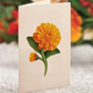 Freshcut Pumpkin Spice Pop-Up Bouquet and Greeting Card - Mellow Monkey