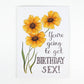 You're Going to Get Birthday Sex Card - Mellow Monkey