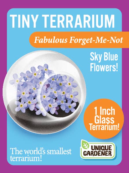 Tiny Terrarium Flowering Plant – Mellow Monkey