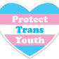 Protect Trans Youth Die Cut Decal - Mellow Monkey