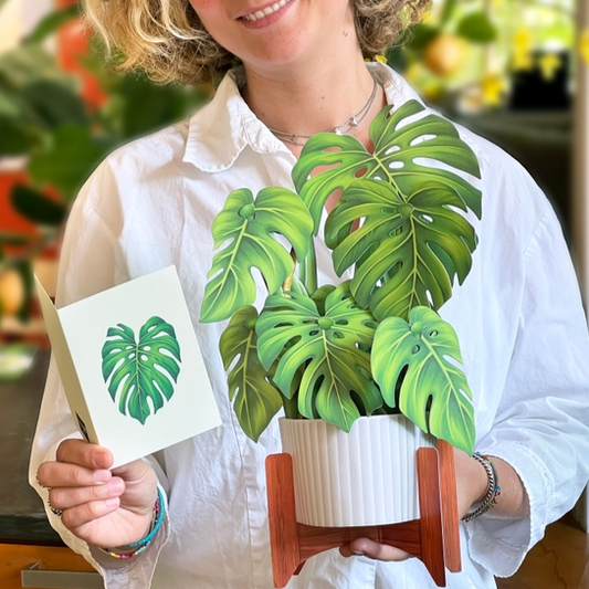 Freshcut Monstera Pop-Up Greeting Card - Mellow Monkey