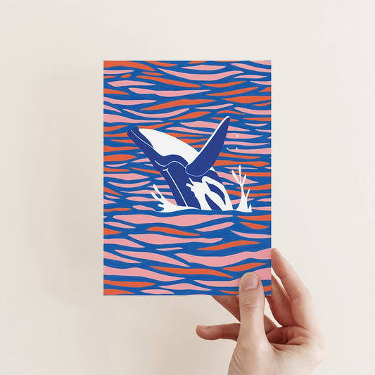 Leaping Whale Greeting Card - Mellow Monkey