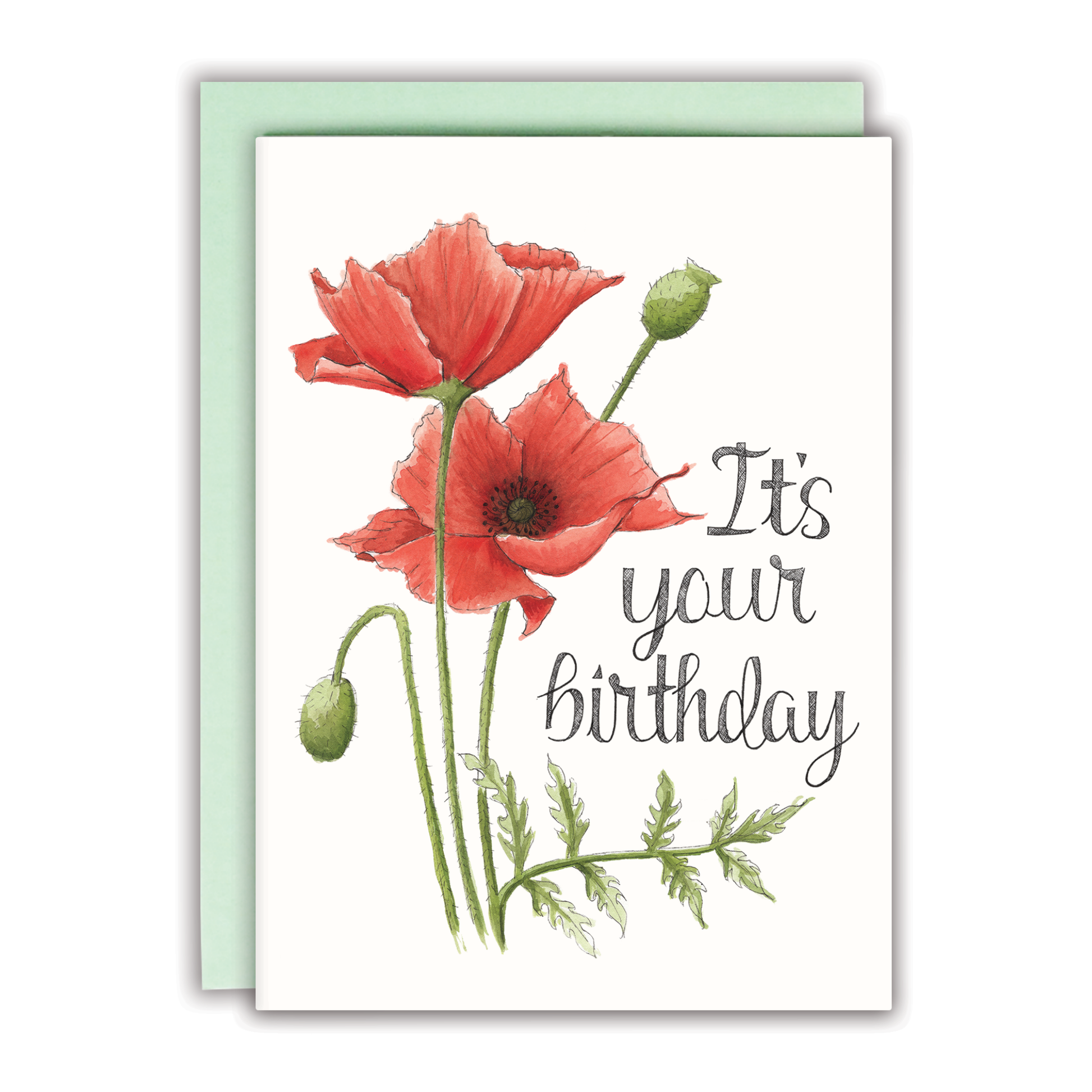 It's Your Birthday Let's Get Drunk Card - Mellow Monkey
