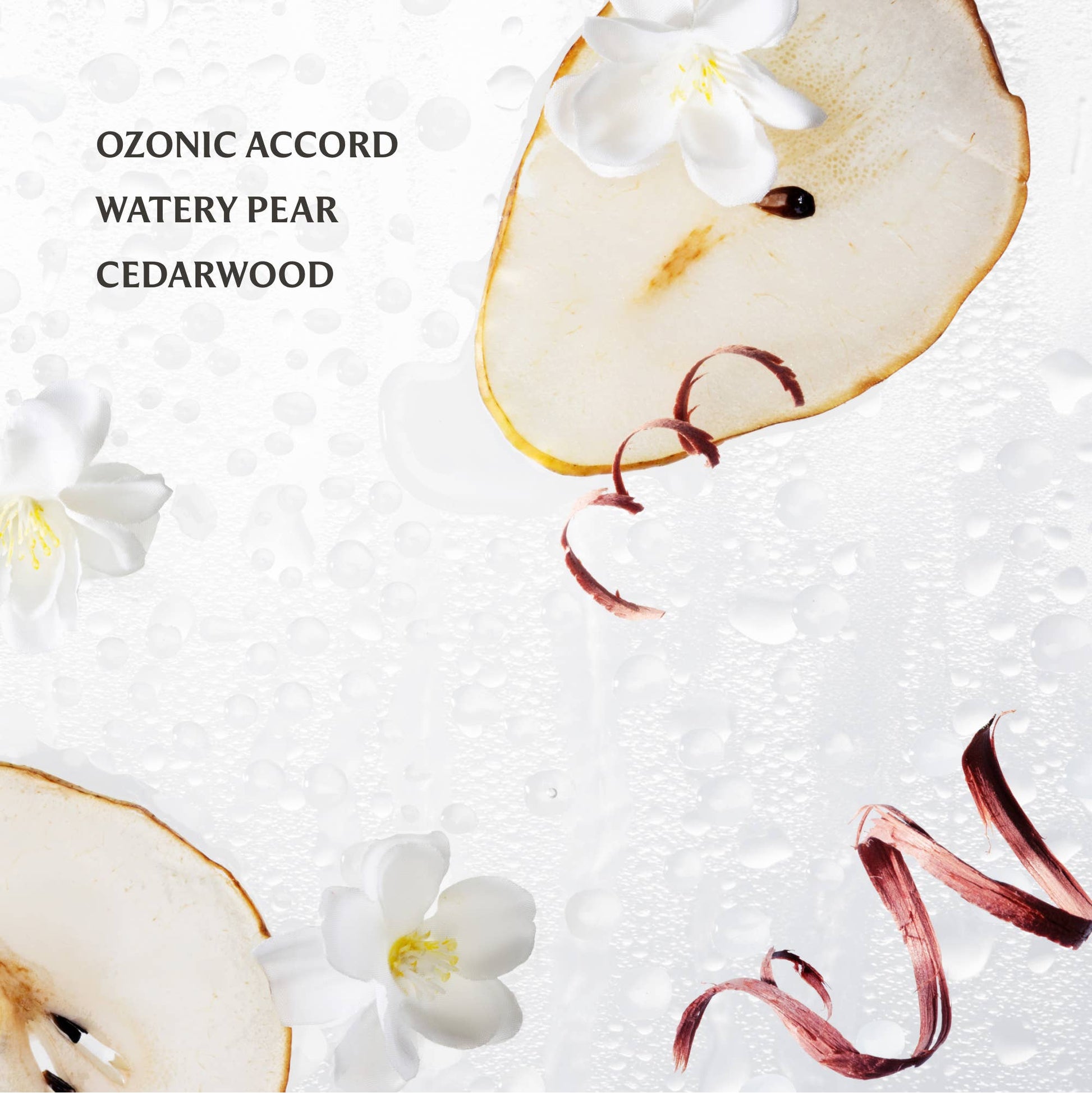 Rainwater - Power Mist Hydrating Hand Sanitizer - Mellow Monkey