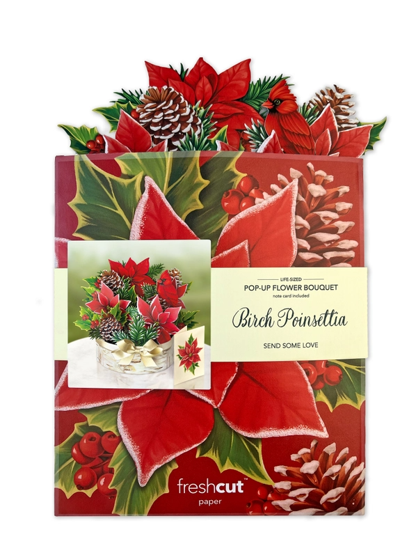 Birch Poinsettia - Pop-Up Flower Bouquet Greeting Card - Mellow Monkey