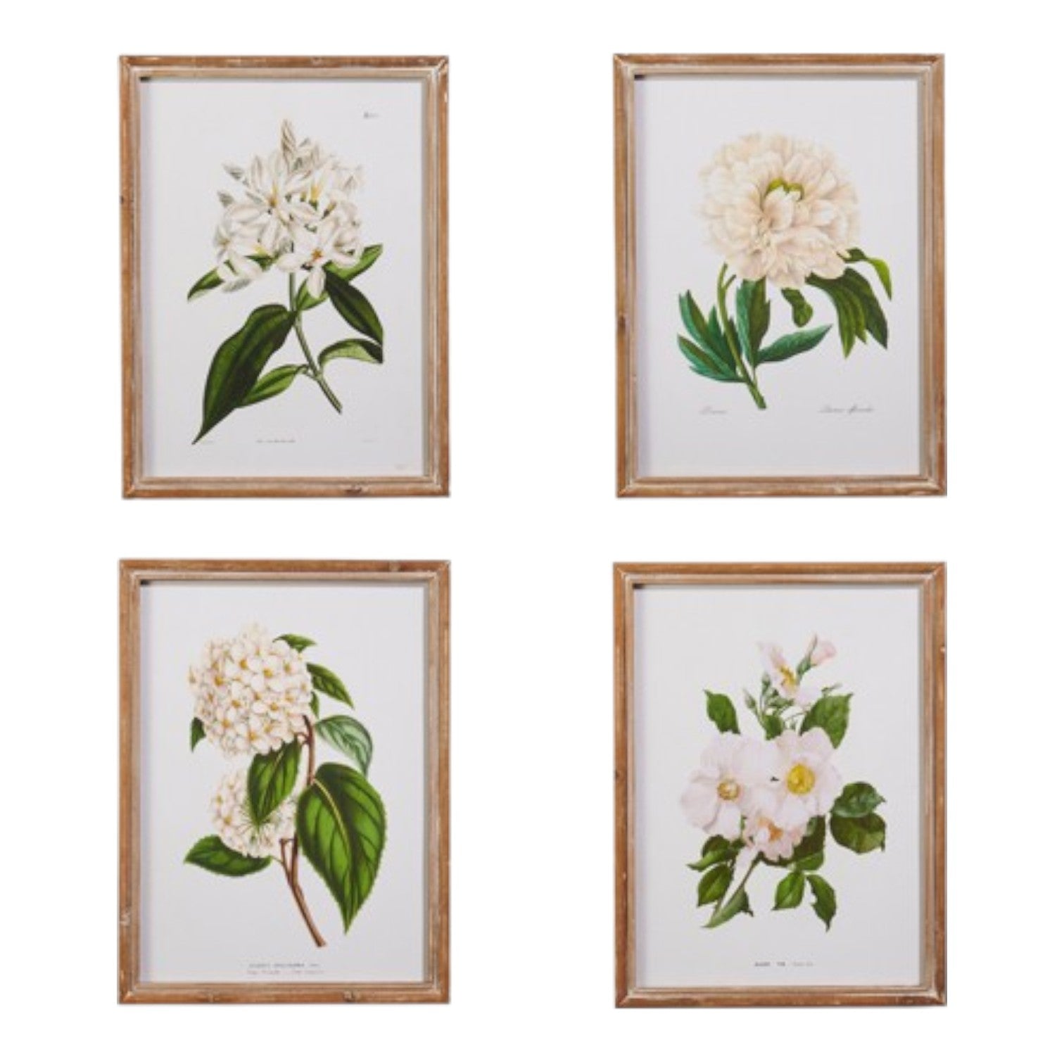 White Floral Framed Wall Art - 20" - Mellow Monkey