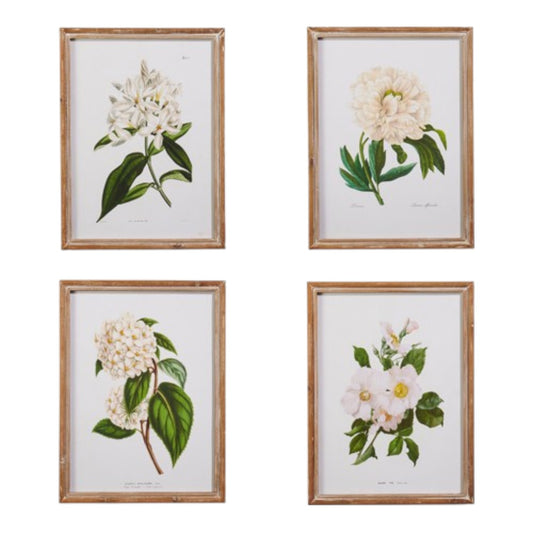 White Floral Framed Wall Art - 20" - Mellow Monkey