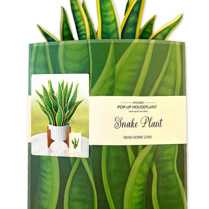 Freshcut Snake Plant Pop-Up Greeting Card - Mellow Monkey