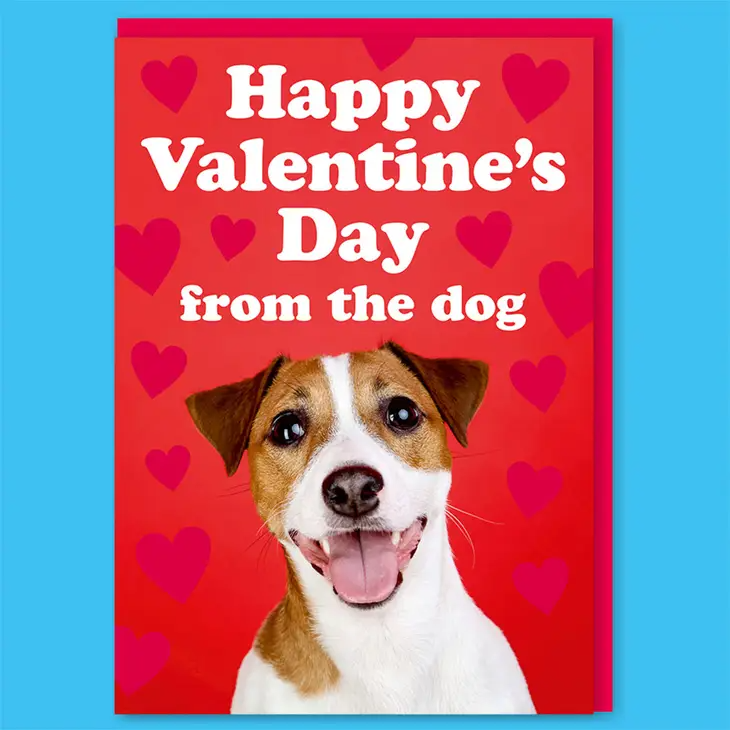 Happy Valentine's Day From The Dog - Valentine's Day Greeting Card - Mellow Monkey
