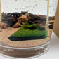 Beach Glass - Double Wick Gel Candle - 8-oz - Mellow Monkey