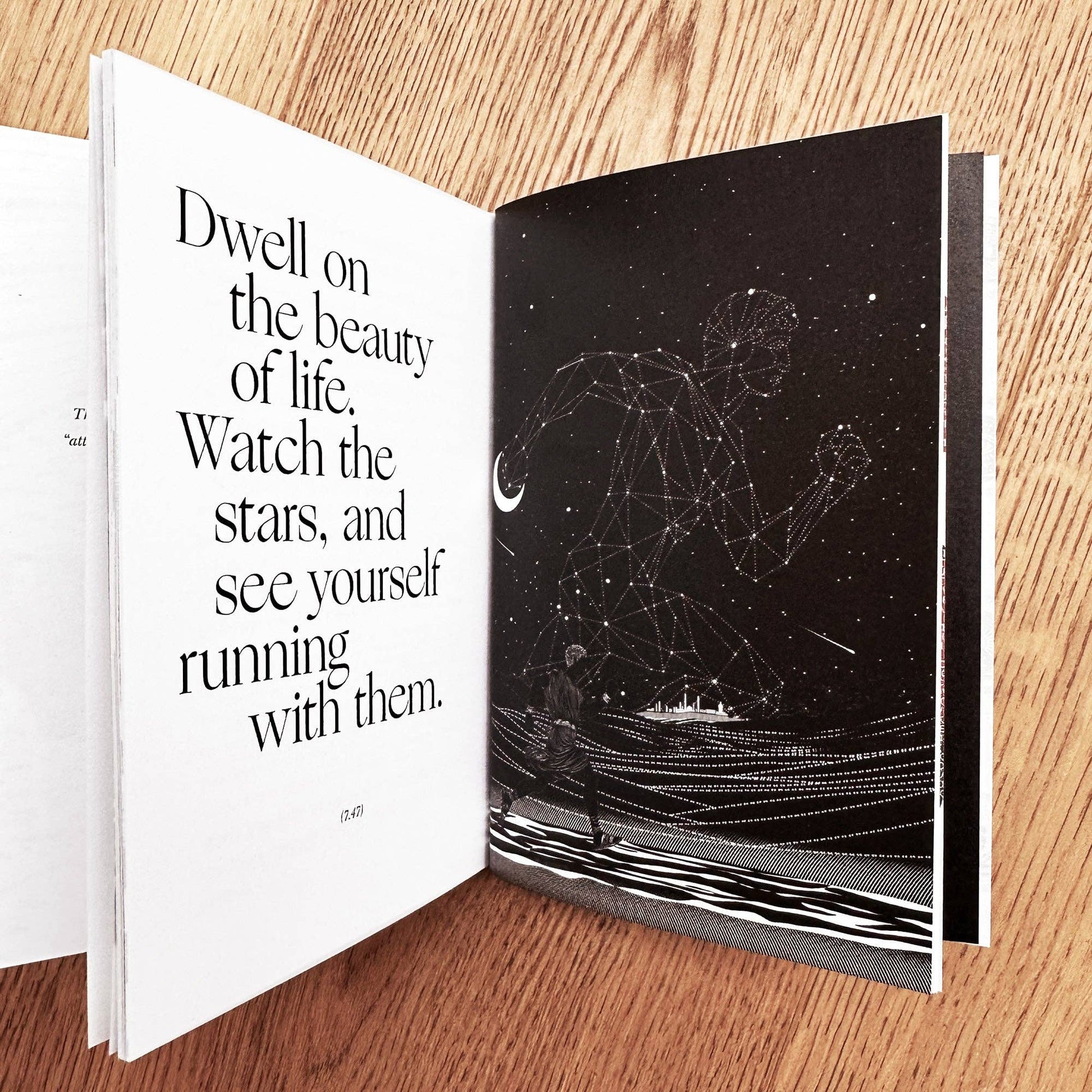 The Meditations, Marcus Aurelius, Illustrated Book - Mellow Monkey