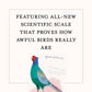 A Dumb Birds Field Guide to the Worst Birds Ever - Paperback - Matt Kracht - Mellow Monkey
