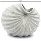 Palm - Handcrafted Porcelain Vase - White with Black Lines - 5.4 x 4.1 x 6.8 in - Mellow Monkey