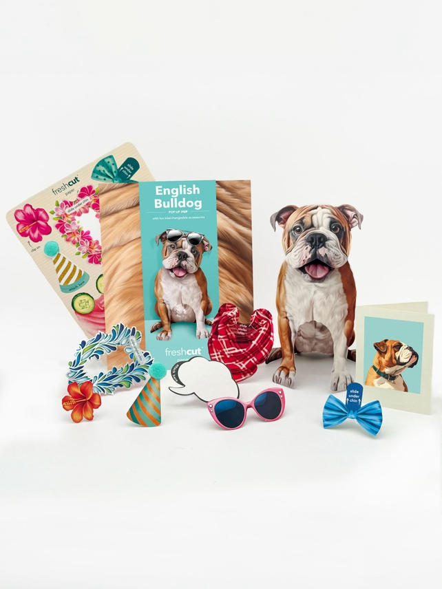 English Bulldog - Freshcut Pop-Up Pet Greeting Cards - Mellow Monkey