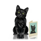 Black Cat - Freshcut Pop-Up Pet Greeting Cards - Mellow Monkey