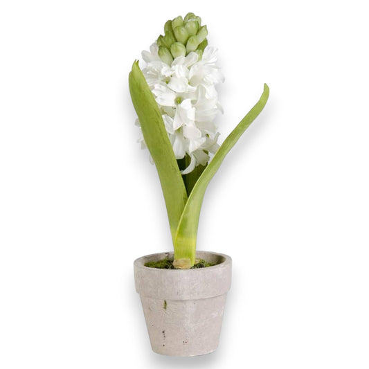 Faux Potted Hyacinth - 6-in - Mellow Monkey