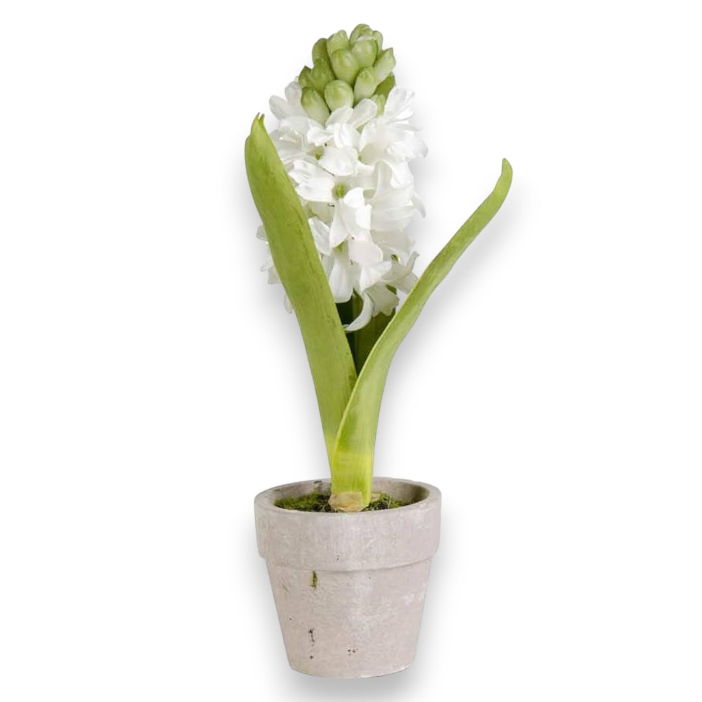 Faux Potted Shite Hyacinth - 6-in