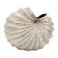 Palm - Handcrafted Porcelain Vase - White with Brown Stripes - 5.4 x 4.1 x 6.8 in - Mellow Monkey