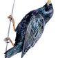 Bird Box - 100 Postcards from 10 Artists - Mellow Monkey