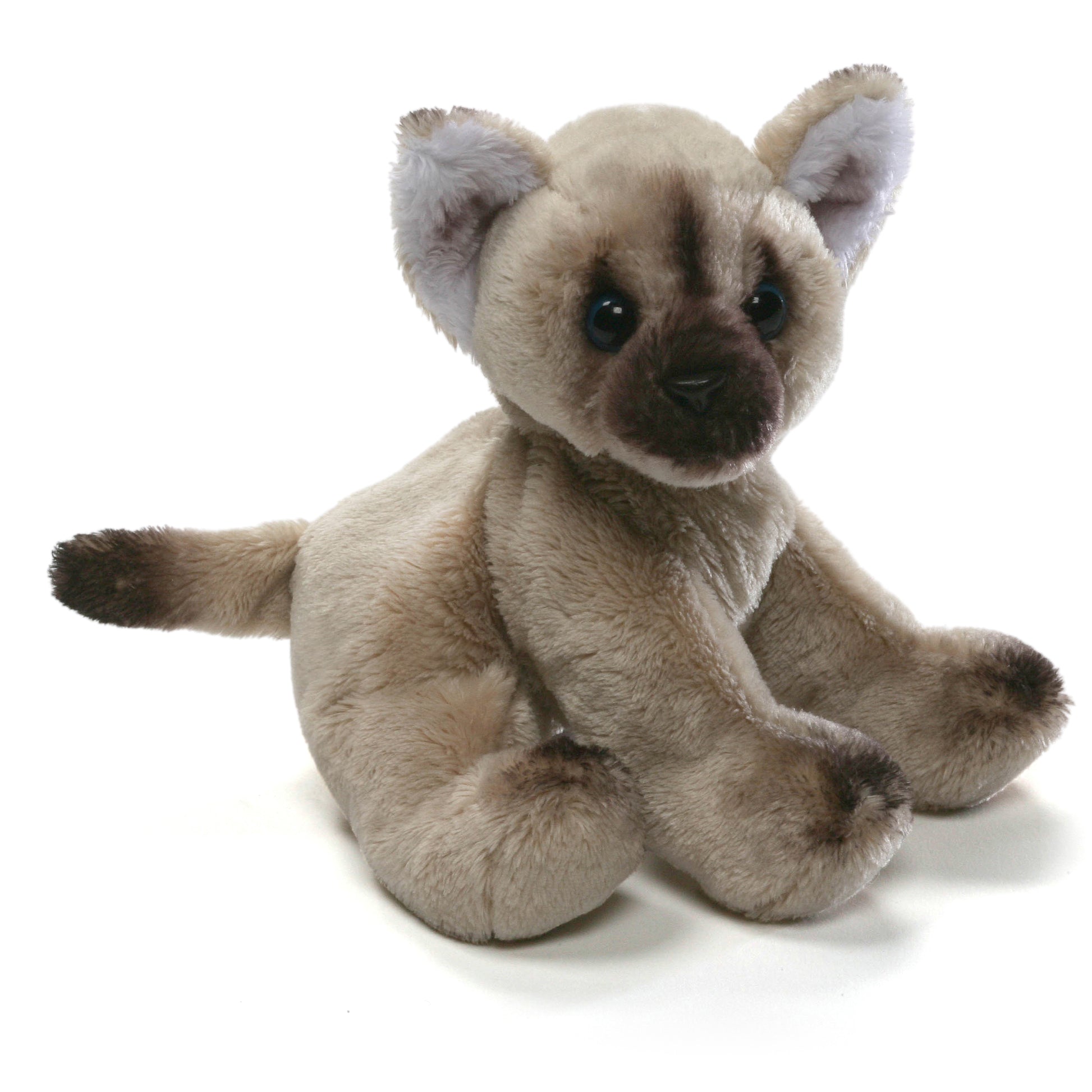 Huimin The Himalayan Cat - Plush - 6-in - Mellow Monkey