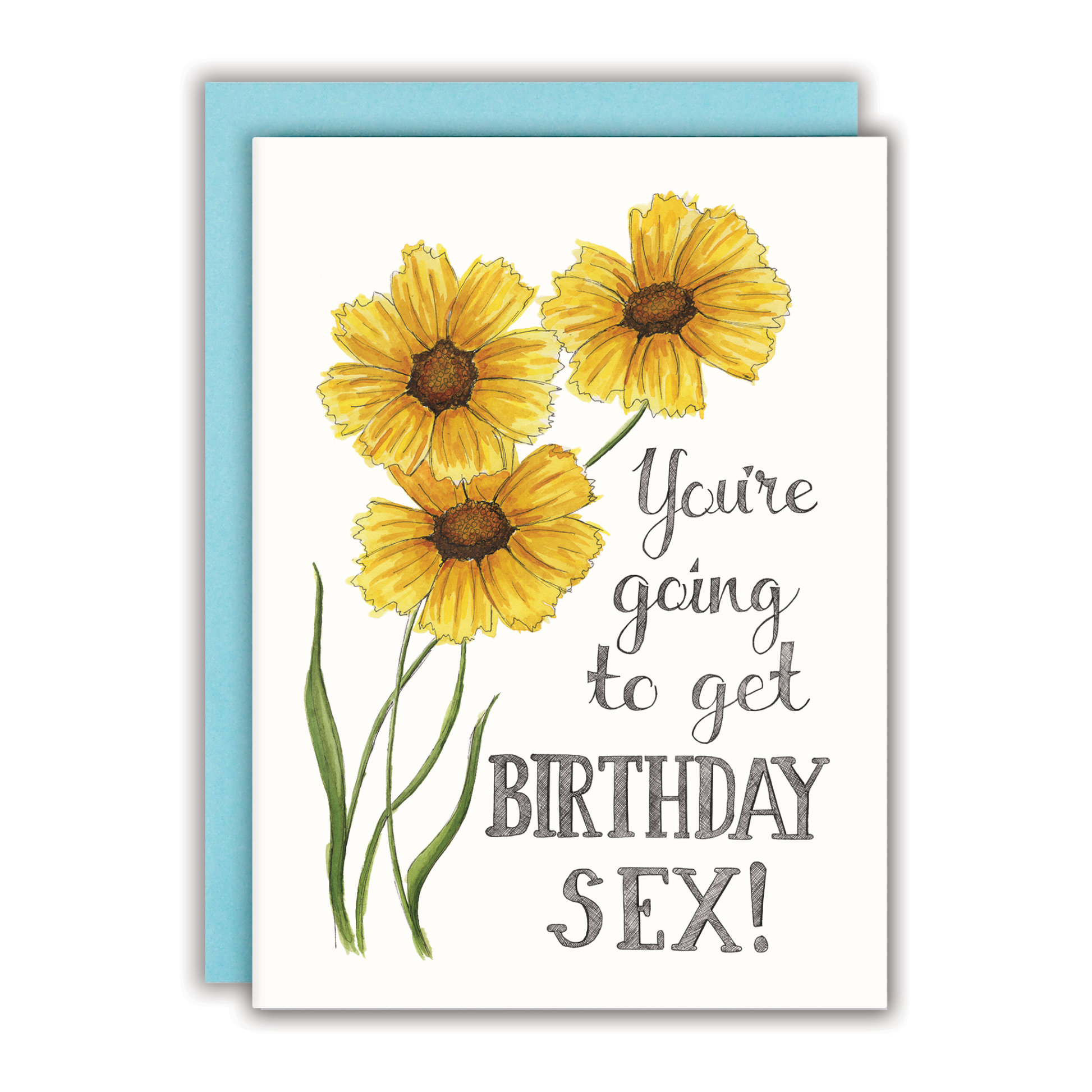 You're Going to Get Birthday Sex Card - Mellow Monkey