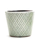 Arta Verde Terracotta Pot - 5-1/2-in - Mellow Monkey