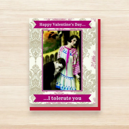 Happy Valentine's Day. I Tolerate You - Valentine's Greeting Card