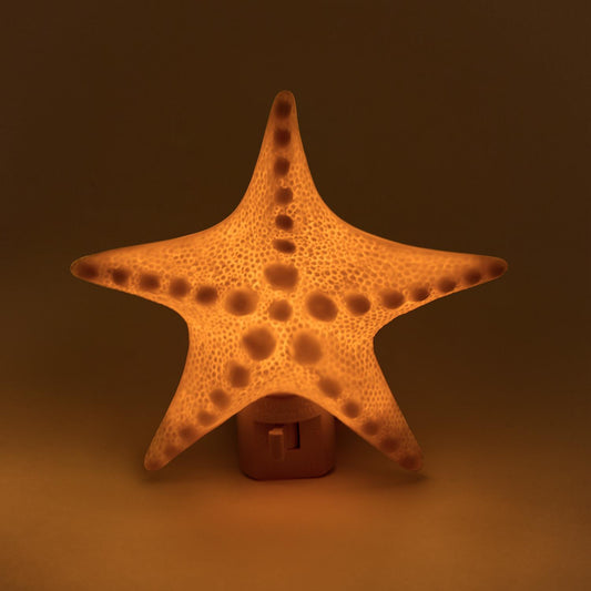 Starfish Seashell Decor Nightlight in Gift Box