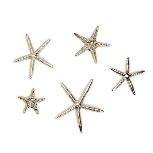 Decorative Silver Starfish
