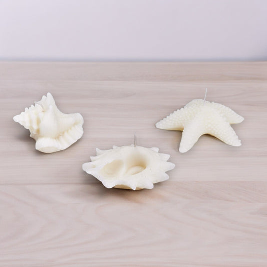 Seashell Decorative Candle - Mellow Monkey