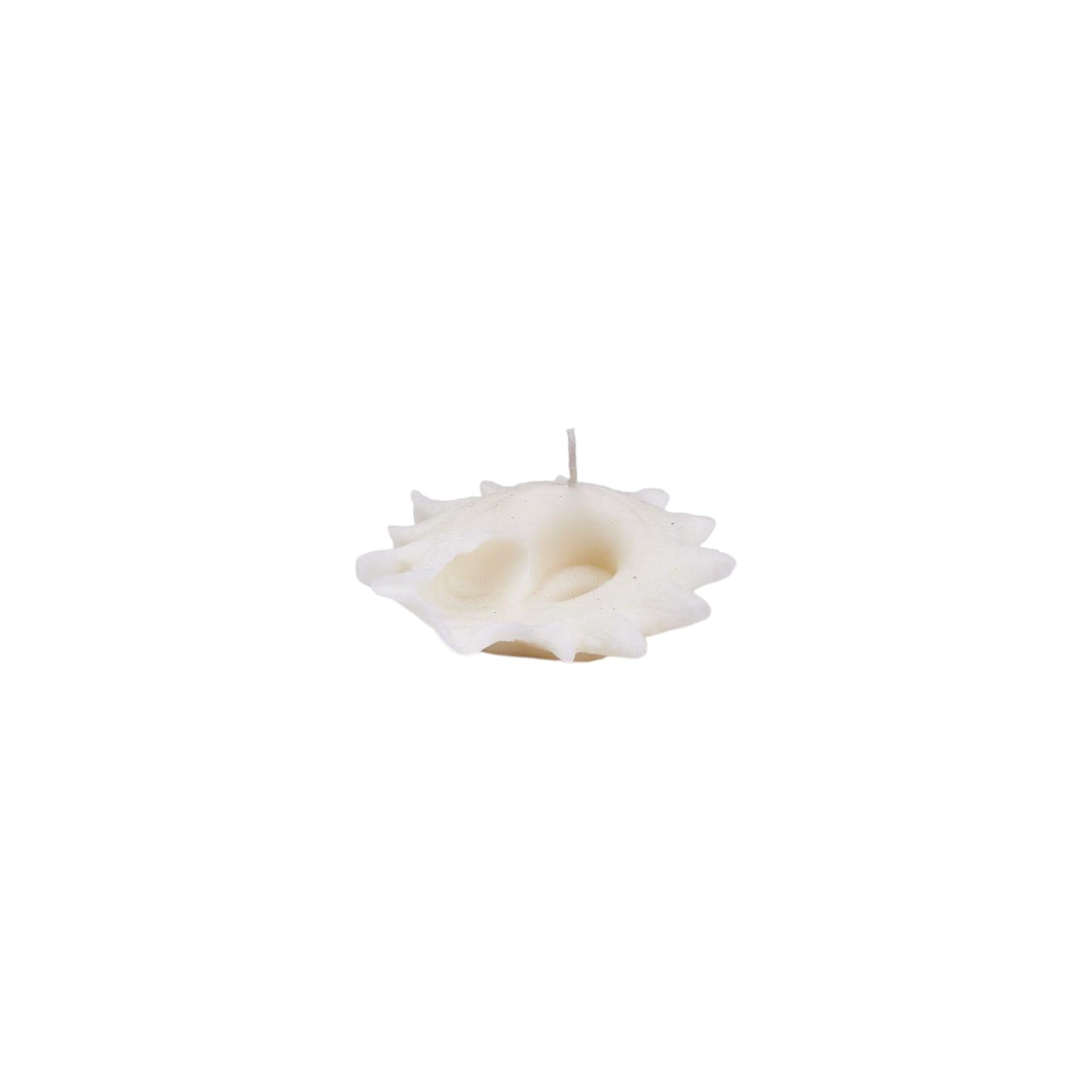 Seashell Decorative Candle - Mellow Monkey