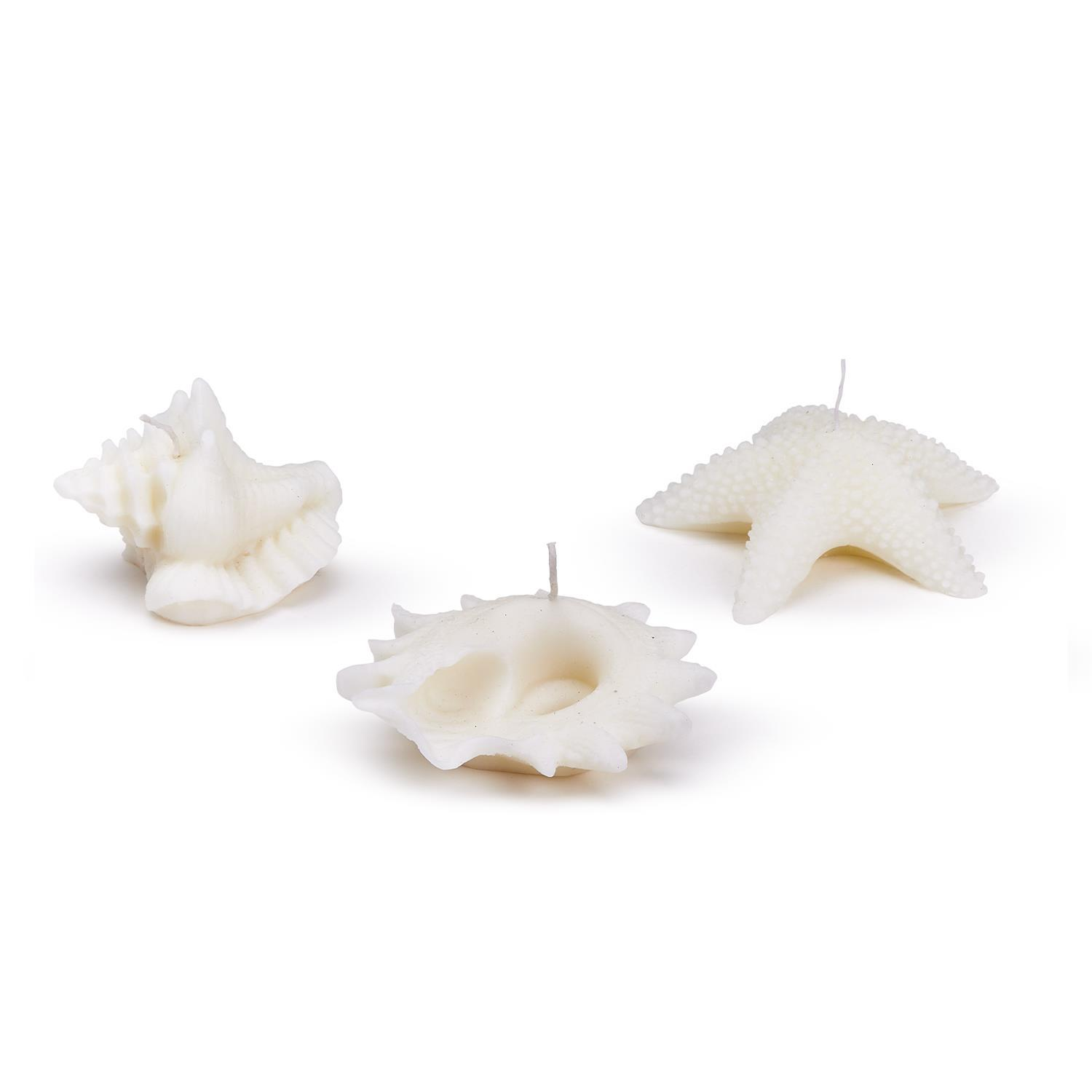 Seashell Decorative Candle - Mellow Monkey