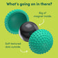 Odds Silicone Fidget Magnets - Mellow Monkey