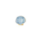 Painted Shell Trinket Dish - Mellow Monkey
