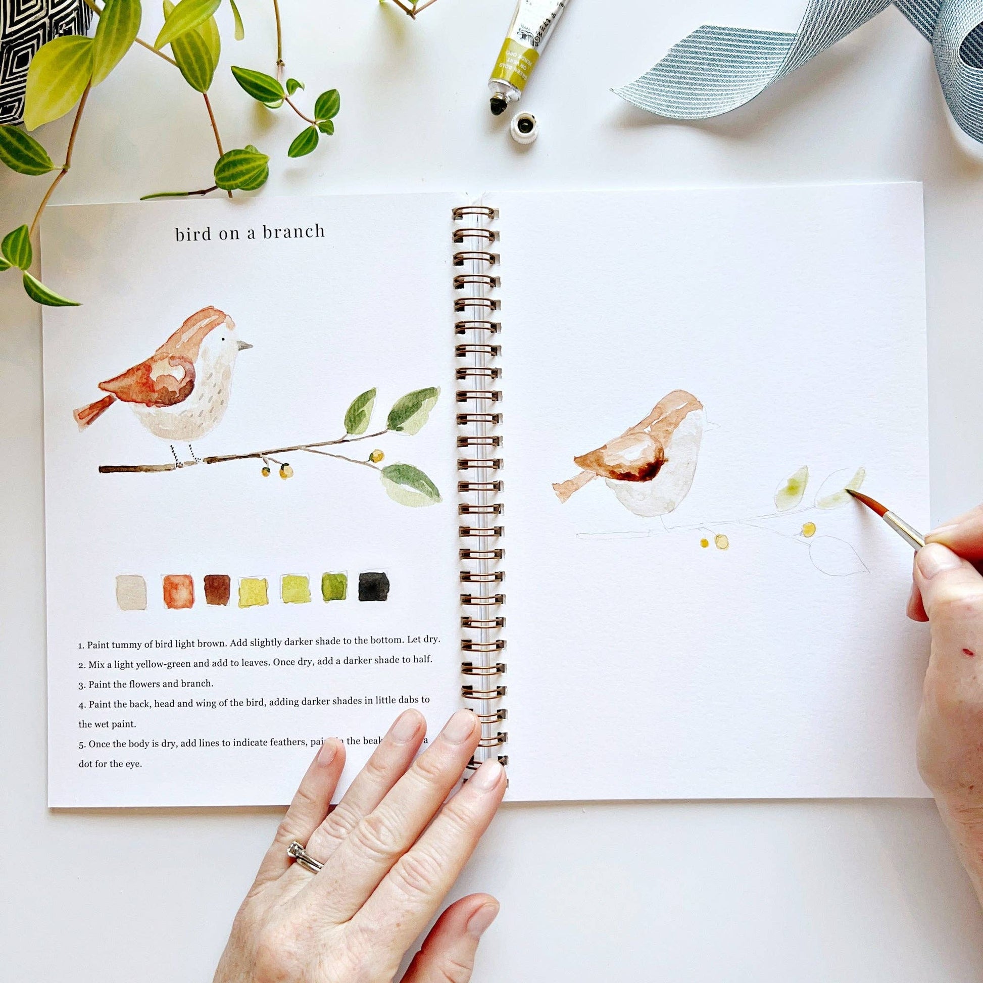 Animals - Watercolor Workbook with Water Color Paint Set and Brush - Mellow Monkey
