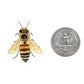 Bee - Mini Sticker #9 - Mellow Monkey