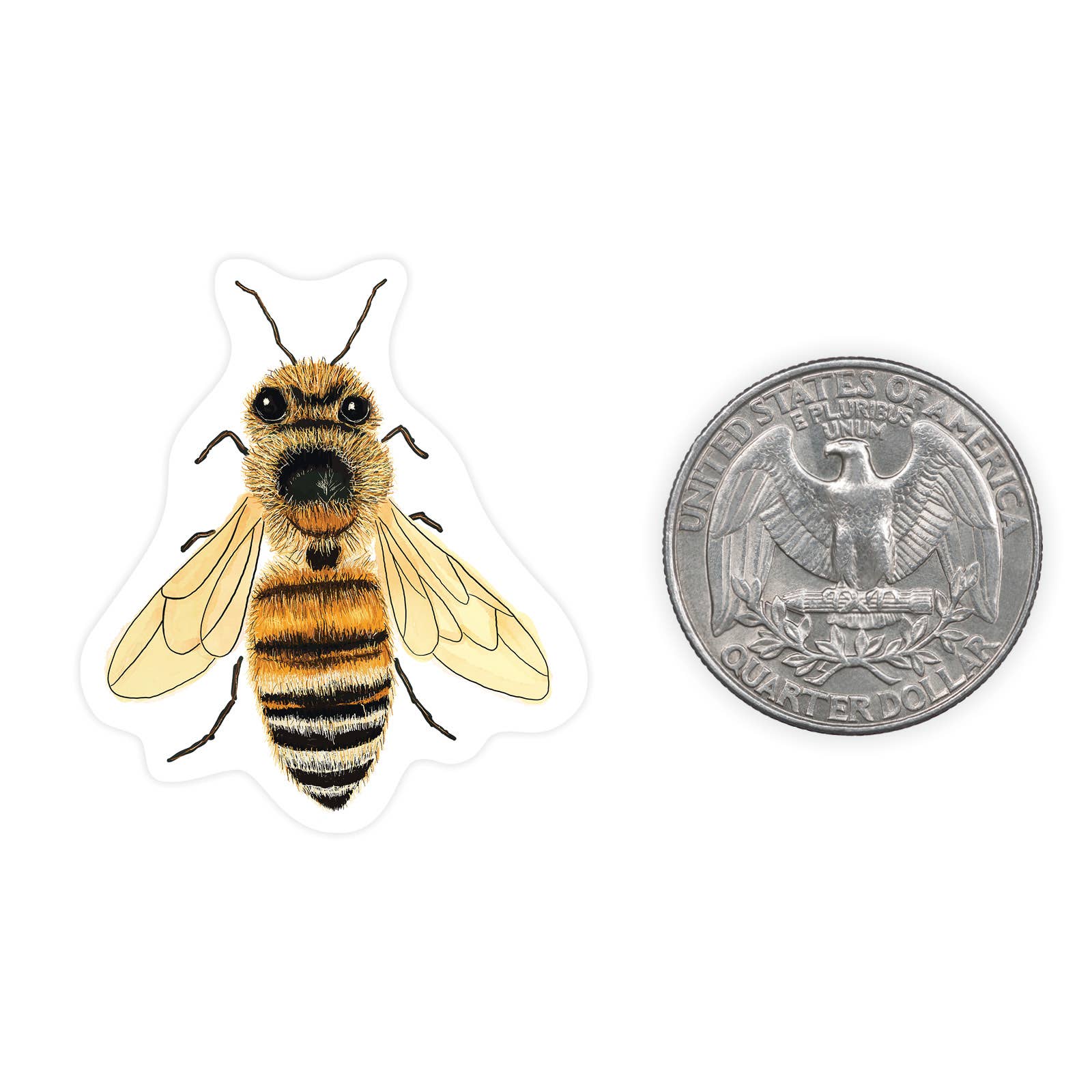 Bee - Mini Sticker #9 - Mellow Monkey