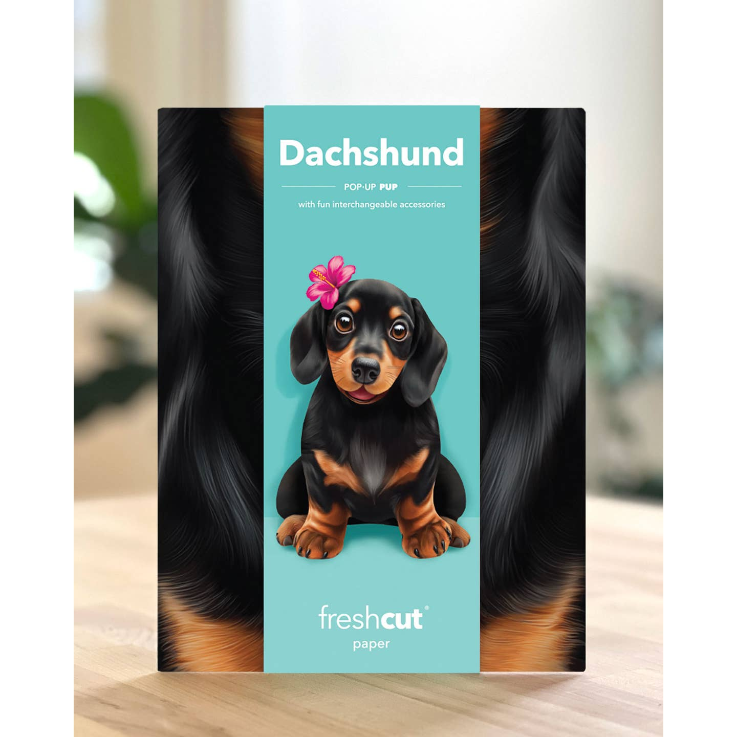 Dachshund - Freshcut Pop-Up Pet Greeting Cards - Mellow Monkey