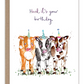 Herd It's Your Birthday - Birthday Greeting Card - Mellow Monkey