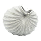 Palm - Handcrafted Porcelain Vase - White with Black Lines - 5.4 x 4.1 x 6.8 in - Mellow Monkey