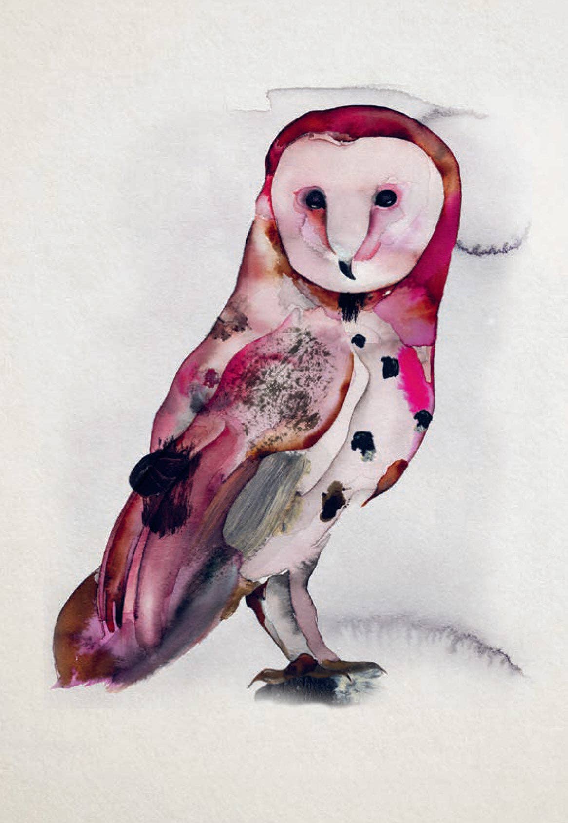 Bird Box - 100 Postcards from 10 Artists - Mellow Monkey