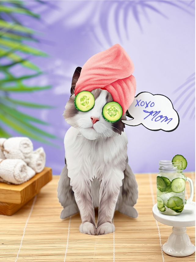 Ragdoll Cat - Freshcut Pop-Up Pet Greeting Cards - Mellow Monkey