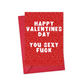 Happy Valentine's Day You Sexy Fuck