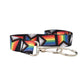 Daniel Quasar Flag Stripe Lanyard