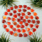 Red Carnelian Crystal Mini Heart - 1/2-in - Mellow Monkey