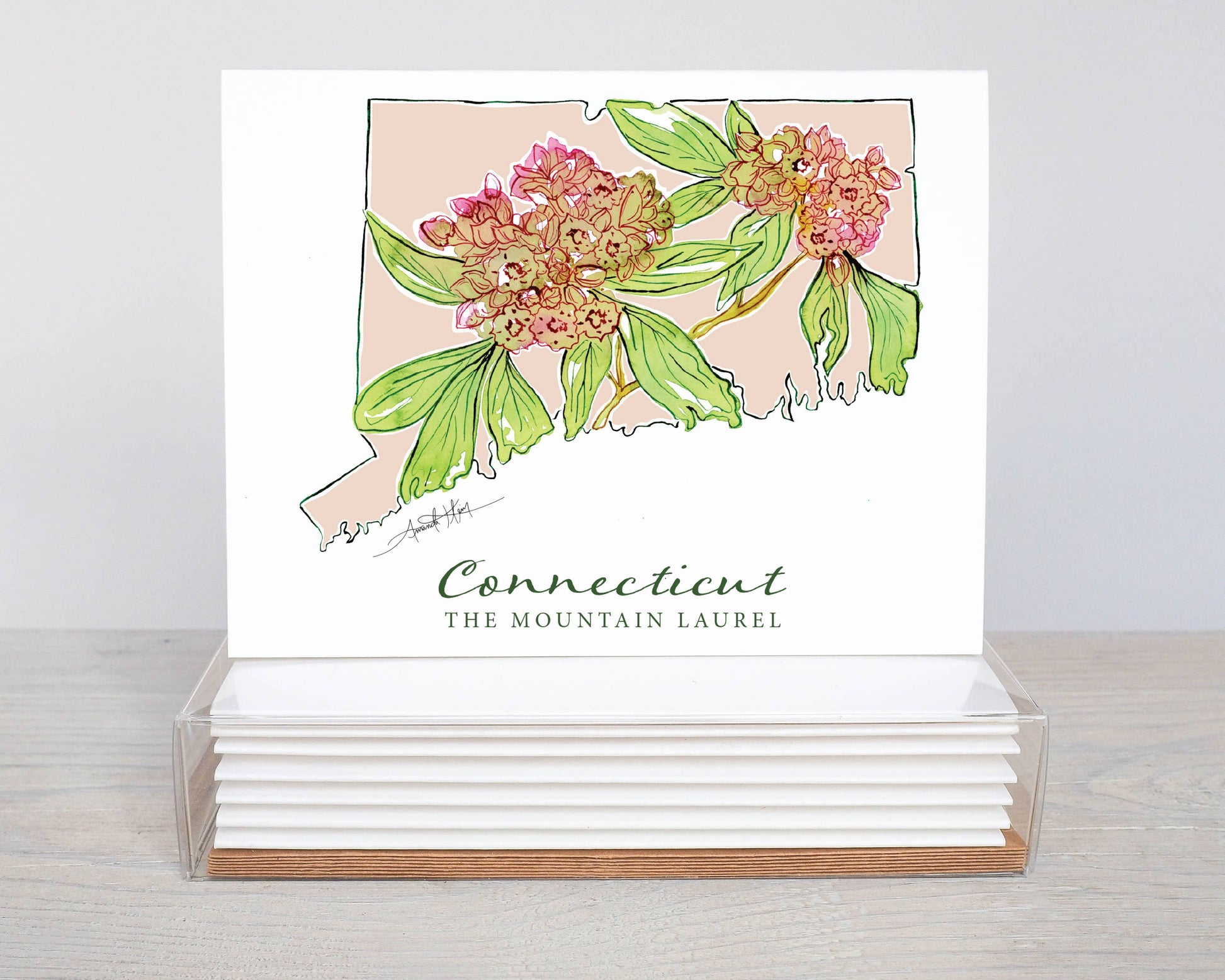 Connecticut Mountain Laurel State Flower Notecard Set of 8 - Mellow Monkey