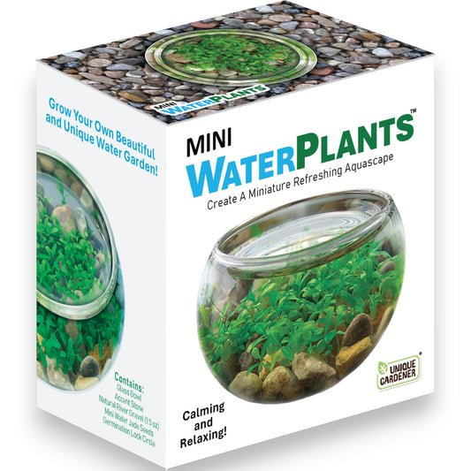Mini WaterPlants - Mellow Monkey